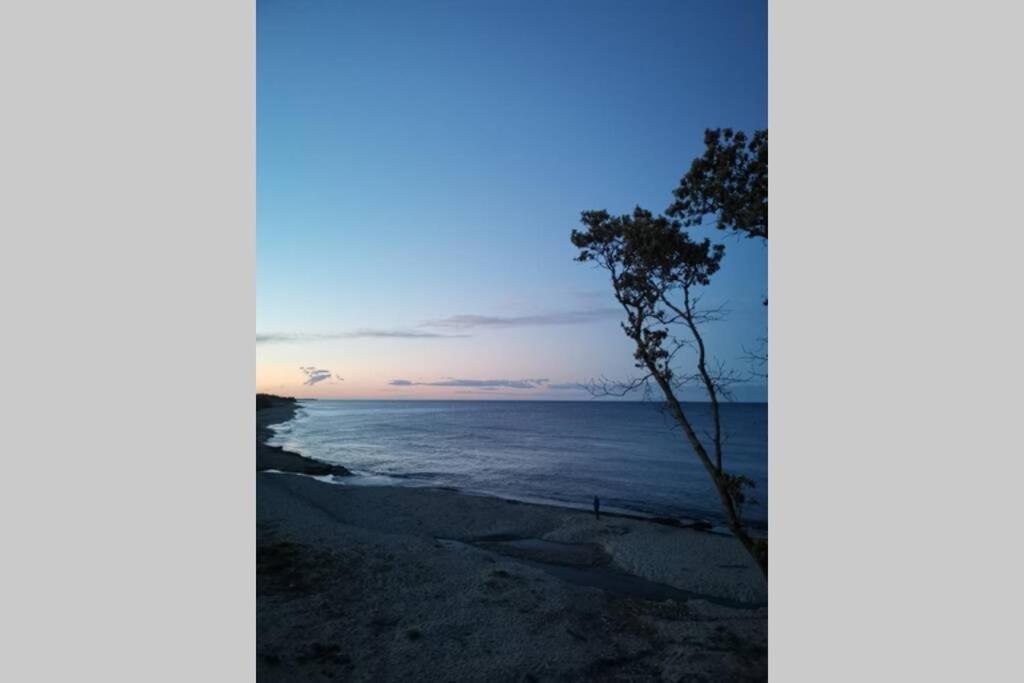 Marine De Bravone T2 Terrasse Front De Mer - Plage Pieds Dans L'Eau - Clim - Piscine - Wifi Linguizzetta Exterior foto