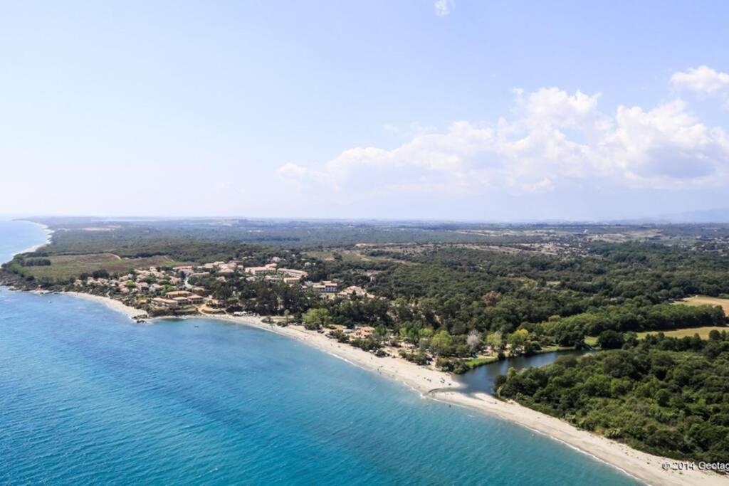 Marine De Bravone T2 Terrasse Front De Mer - Plage Pieds Dans L'Eau - Clim - Piscine - Wifi Linguizzetta Exterior foto