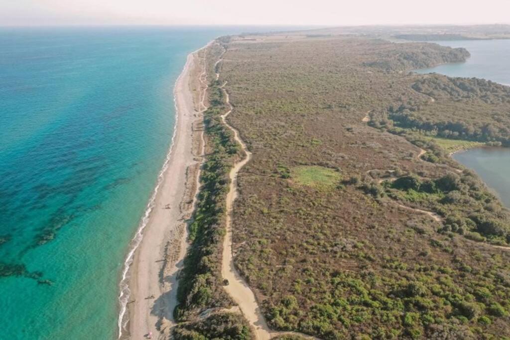 Marine De Bravone T2 Terrasse Front De Mer - Plage Pieds Dans L'Eau - Clim - Piscine - Wifi Linguizzetta Exterior foto